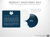 Product Investment Strategy Template