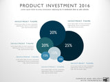 Product Investment Strategy Template