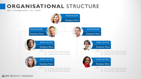 Org Structure Layout Template
