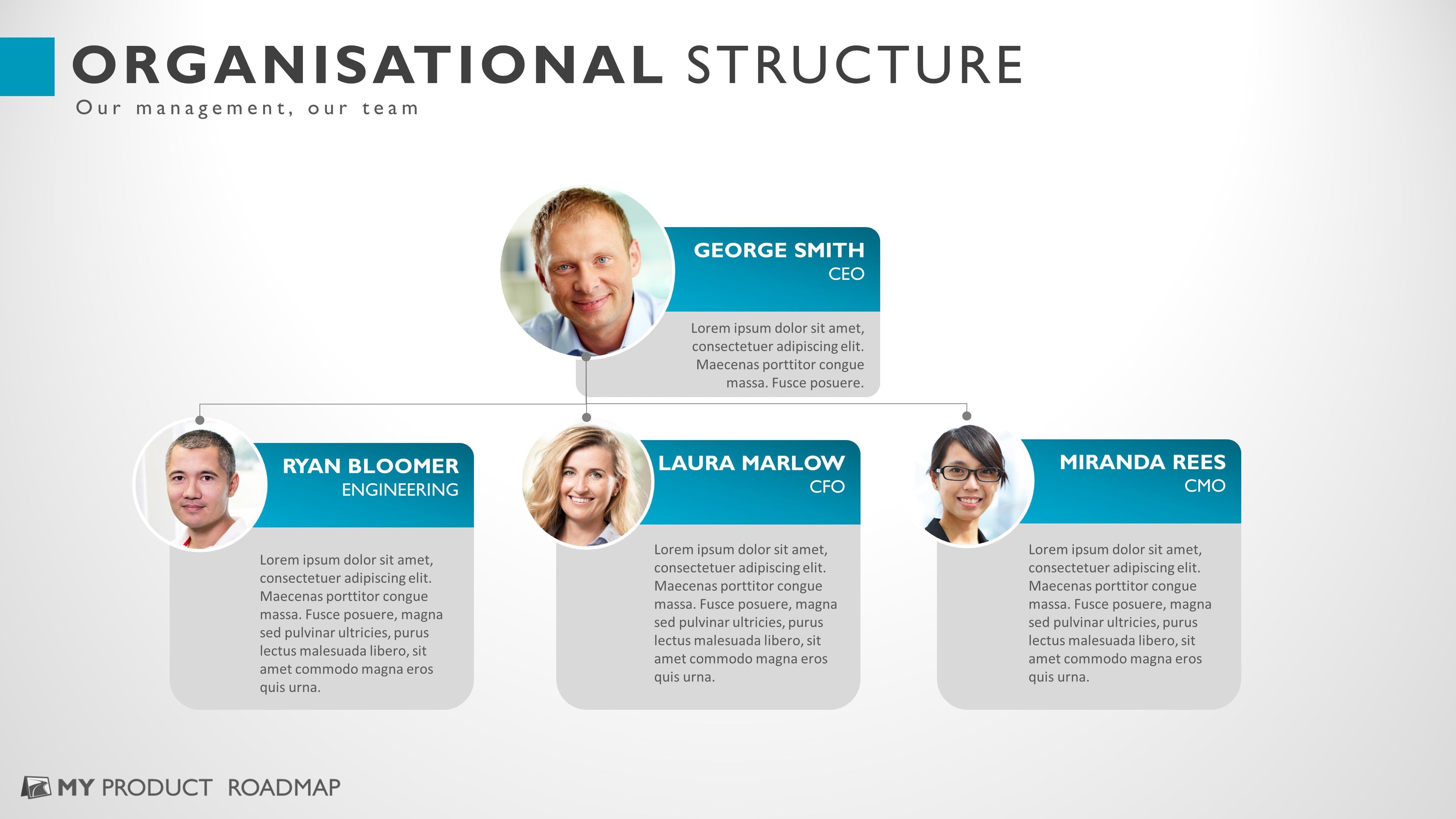 Organization Check Layout Organisational Structure | Layout Templates | My Product Roadmap